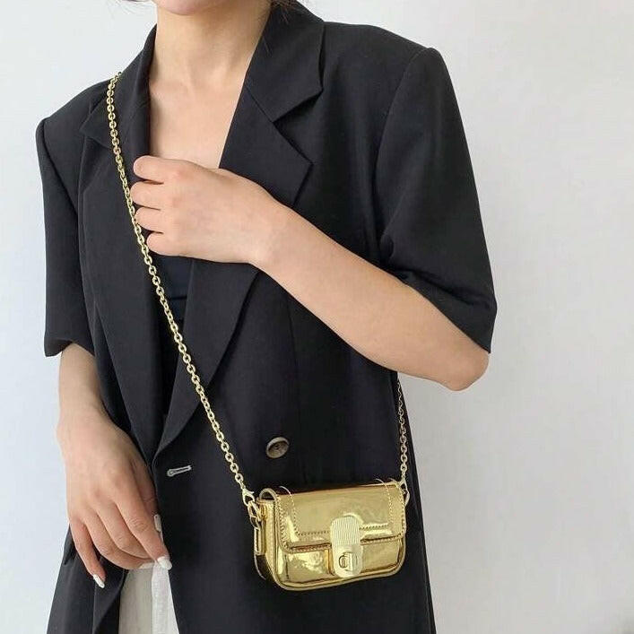 Metallic Women bag.